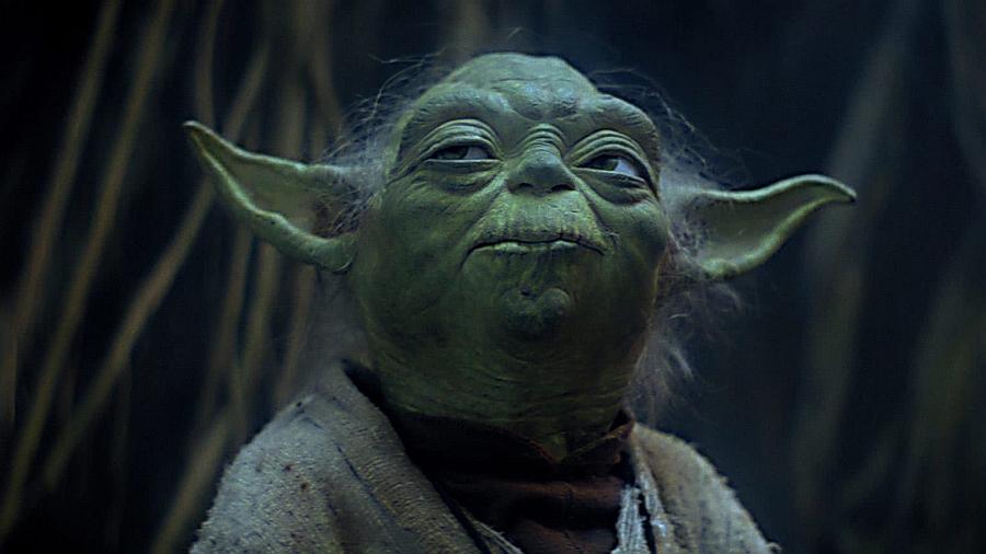 Yoda understands fear